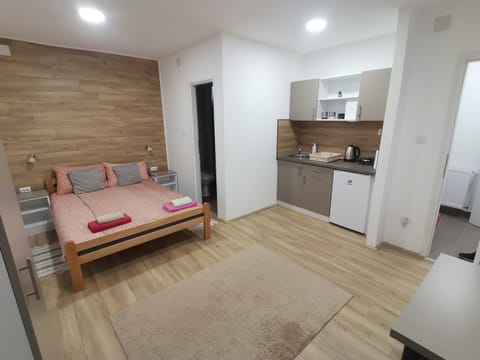 S. A. L. 2 Apartment in Timiș County