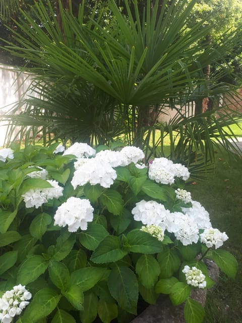 Villa Fiorentino Bed and Breakfast in Padua