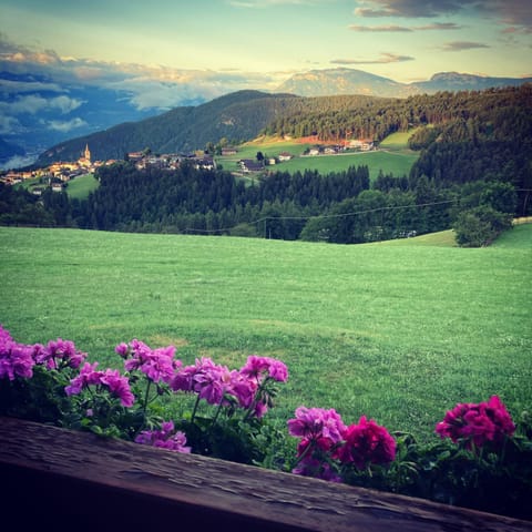 Spring, Natural landscape, Mountain view
