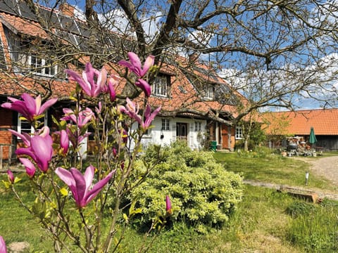 Property building, Garden, Garden view