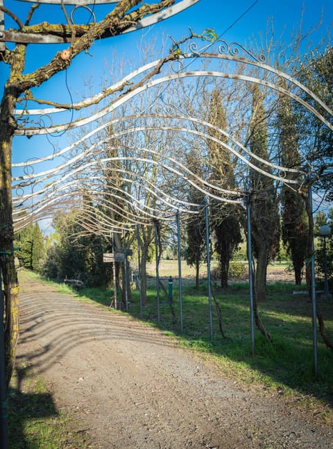 Natural landscape, Garden