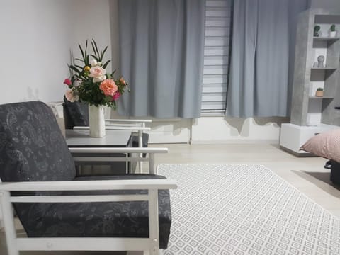 BB Downtown Apartment Apartment in Zlatibor District, Serbia