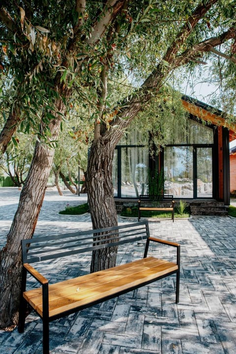 Spring, Day, Natural landscape, Garden view