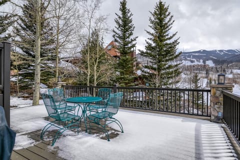 Telluride Bliss House in Telluride