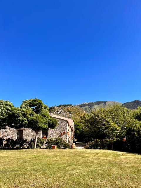Garden, Mountain view