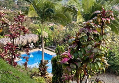 View (from property/room)