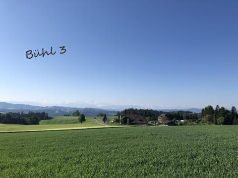 Natural landscape, Summer, On site