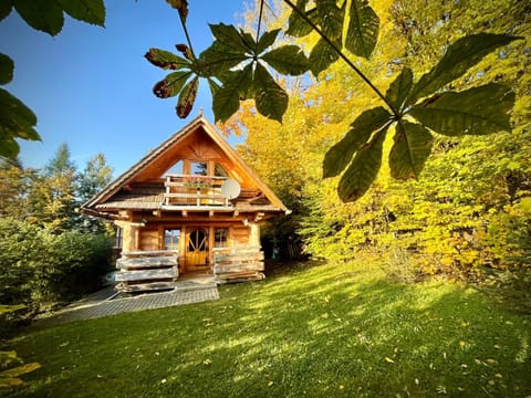 Property building, Natural landscape, Garden