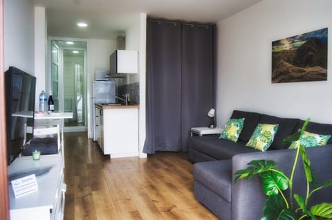 Casa Mario Apartment in El Hierro