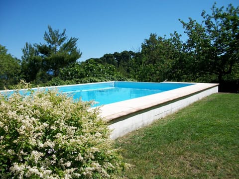 Spring, Day, Garden, Swimming pool