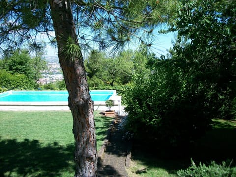 Spring, Day, Natural landscape, Garden, Garden view, Swimming pool