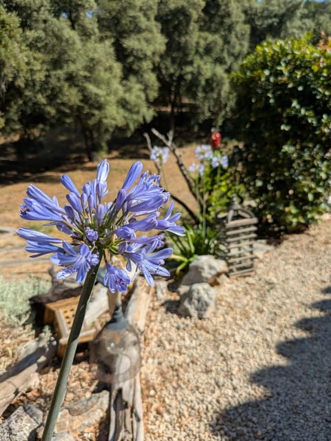 Villa Bleucassis Bed and Breakfast in Lorgues