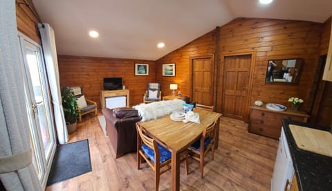 TV and multimedia, Kitchen or kitchenette, Living room, Photo of the whole room, Seating area, Dining area