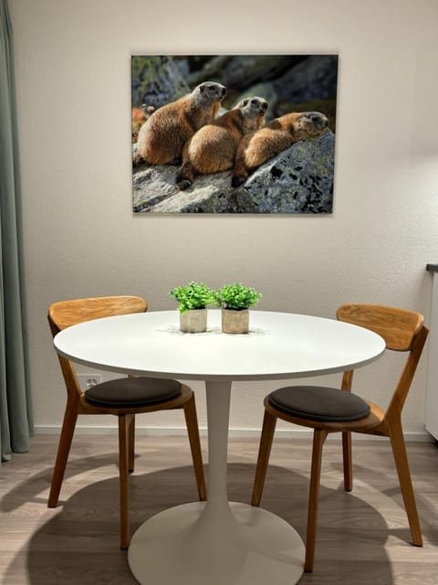 Studio neben Therme für 2 Erwachsene neu renoviert Apartment in Vals