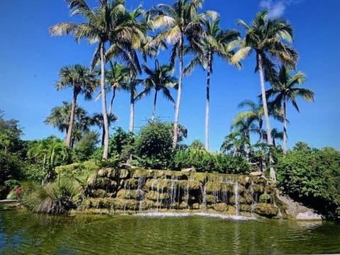 Natural landscape, Garden, Landmark view