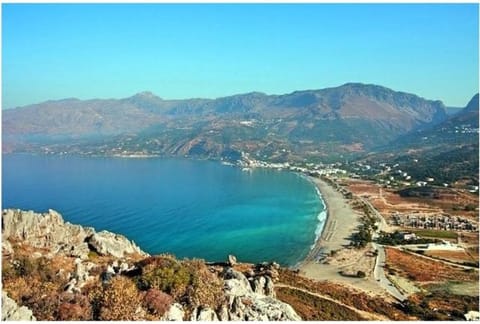 Beach, Area and facilities