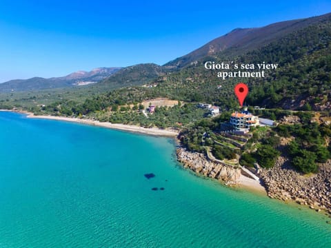 Giotas Sea View Apartment Apartment in Thasos