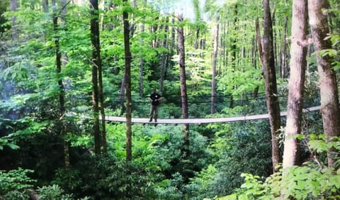 Natural landscape, Hiking, Location