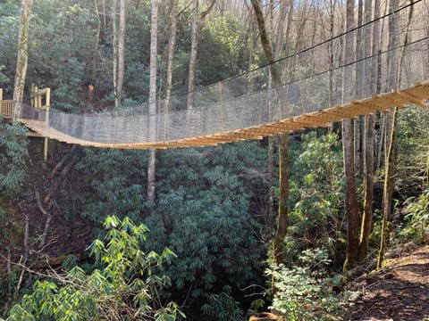 Spring, Day, Natural landscape, Garden view, Mountain view, Entertainment, children