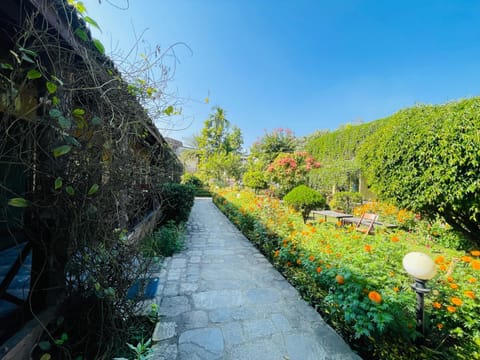 Spring, Day, Natural landscape, Garden