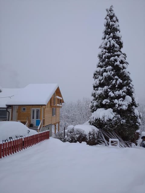 Apartman Čivović Apartment in Serbia