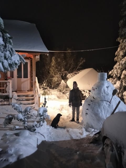 Apartman Čivović Apartment in Serbia
