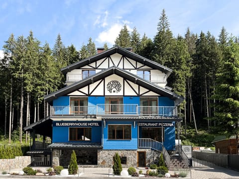 Property building, Restaurant/places to eat, Day, Natural landscape