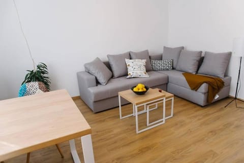 MILLENNIUM bridge cozy apartment TOP location Apartment in Podgorica