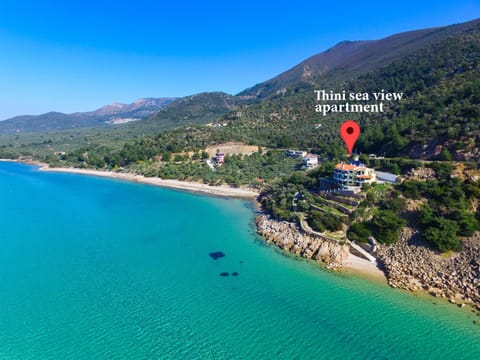 Thini Sea View Apartment Apartment in Thasos