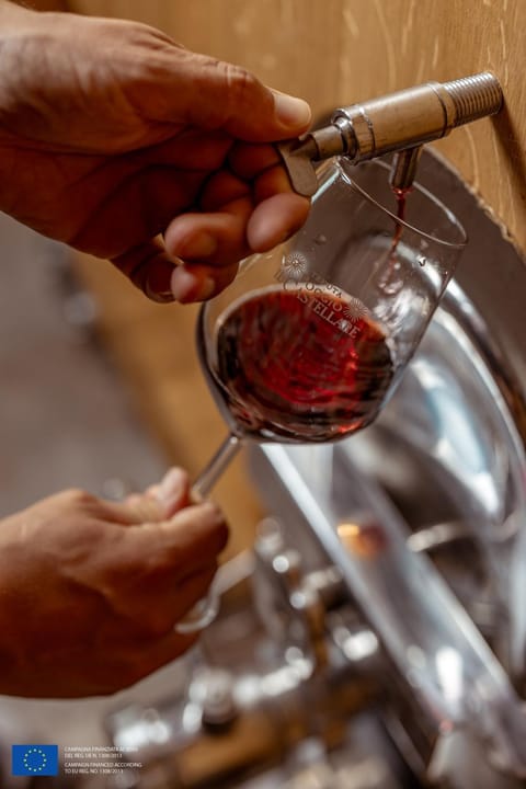 Activities, Food and drinks, Alcoholic drinks