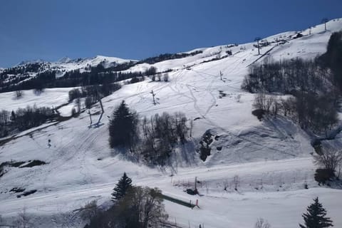 Natural landscape, Winter, View (from property/room), Mountain view