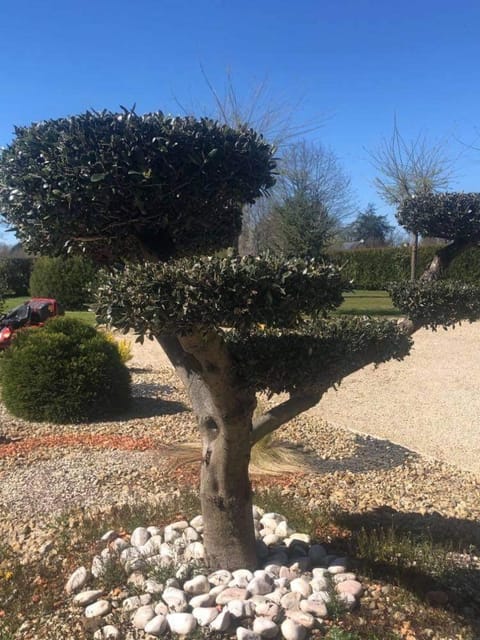 LA COTTINIERE Bed and Breakfast in Brittany