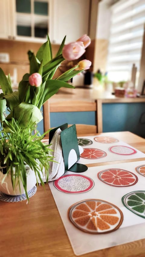 Apartament "Przy Jeziorku" Apartment in Lithuania