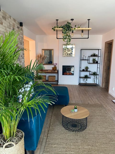 Sarah Home Apartment in Serbia