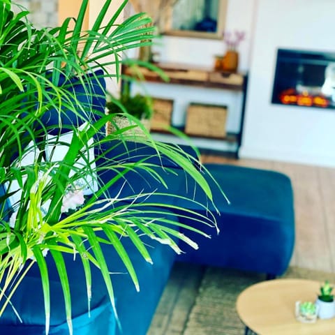 Sarah Home Apartment in Serbia