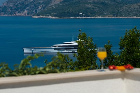 Deluxe Apartment Unique-With Private Heated Pool Apartment in Cavtat