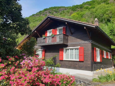 Accogliente mansarda Apartment in Canton of Ticino