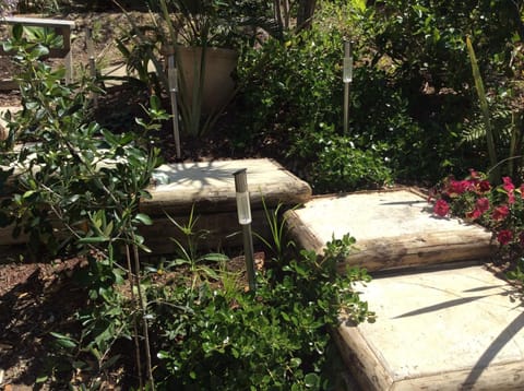 Neptune Coastal Haven Bed and Breakfast in Auckland