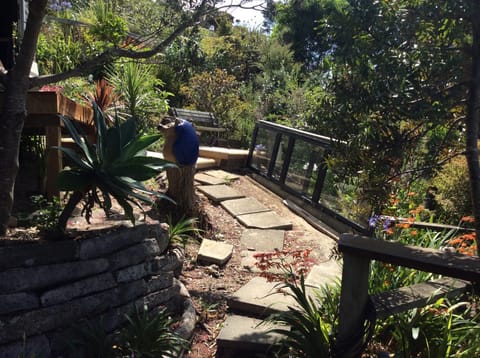 Neptune Coastal Haven Bed and Breakfast in Auckland