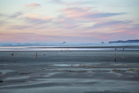 Puffin Condo House in Moclips