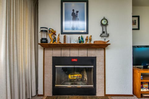 Puffin Condo House in Moclips