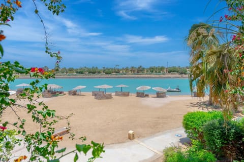 Day, Beach, Lake view, Sea view, sunbed
