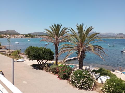 Property view