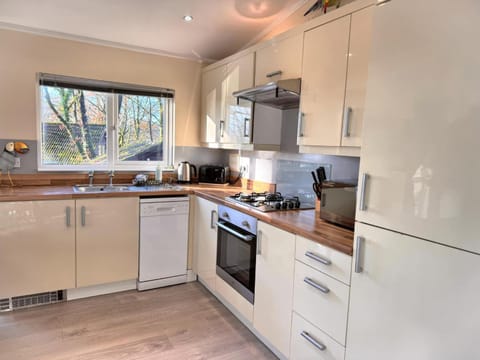 Welsh Villa-Hot Tub-Tenby-Carmarthen-Forestsetting Apartment in Wales