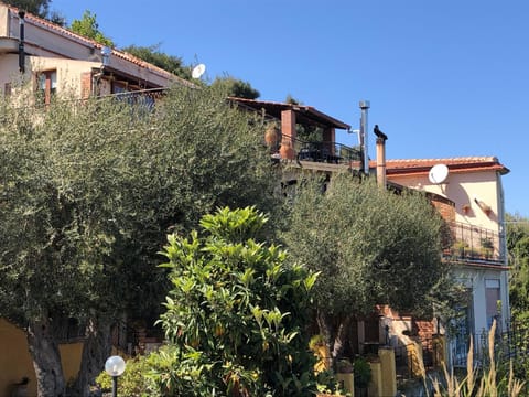 Property building, Garden