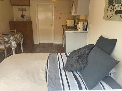 Bed, Kitchen or kitchenette, Seating area