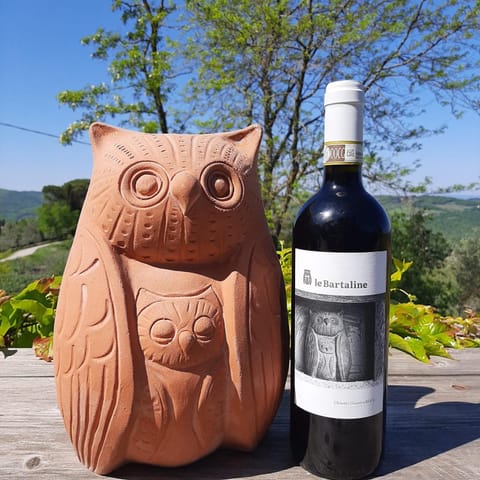 Agriturismo le Bartaline Apartment in Castellina in Chianti