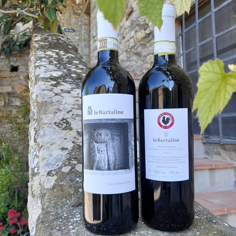 Agriturismo le Bartaline Apartment in Castellina in Chianti