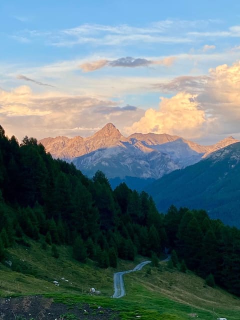 Alp Es-Cha Dadour Bed and Breakfast in Canton of Grisons