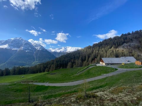 Alp Es-Cha Dadour Bed and Breakfast in Canton of Grisons